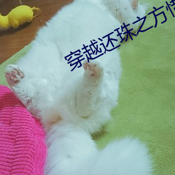 穿(穿)越还(還)珠之(之)方(方)惜嫣(嫣)