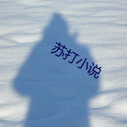918博天堂·(中国)手机版客户端