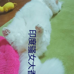 印度骚女大香蕉视频