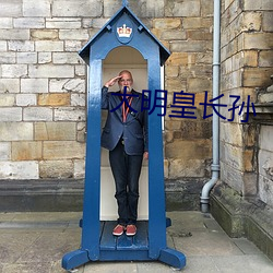 大明皇长孙