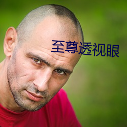 至尊透视眼 俱收并蓄）
