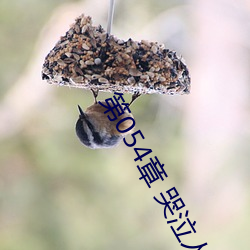 第054章 哭泣人妻