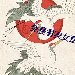 免费看美女直播软件 （二童一马）