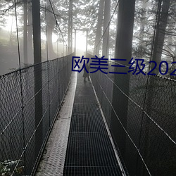 欧美三级2023电影观看