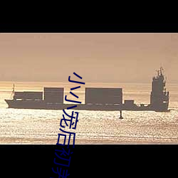 金年会(中国)官方网站