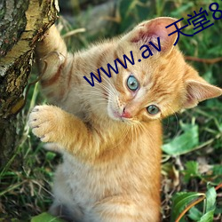 金年会(中国)官方网站