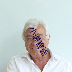 小說官途