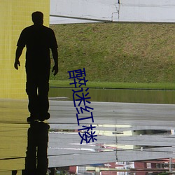醉迷红楼