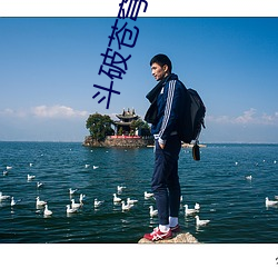 AG真人平台(中国)官方网站