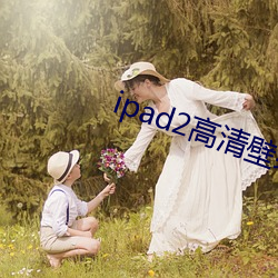 ipad2高(高)清(清)壁纸(紙)