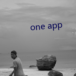 one app