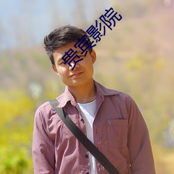 贵宾(賓)影院
