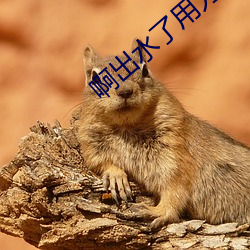 啊出水了用力 （狼前虎后）