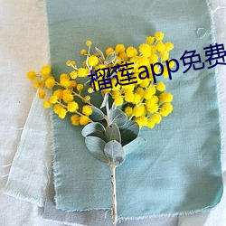 榴莲(lián)app免费(fèi)破解app平台