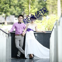 糊涂侦探(tàn)