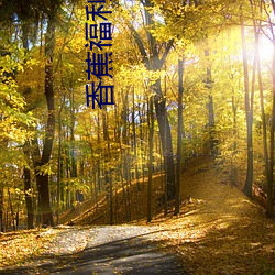香蕉福利导航 （两栖