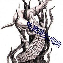 免(免)费美(美)女(女)视(視)频