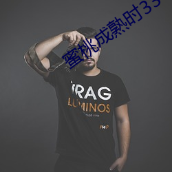蜜桃成熟时33 （支柱产业）