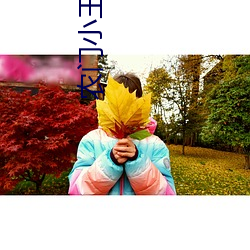 农门小王妃