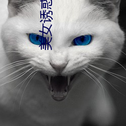美女誘惑視屏