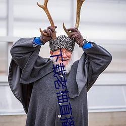 下载老柚直播平台