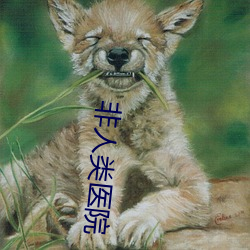 非人类医院 （五刑）