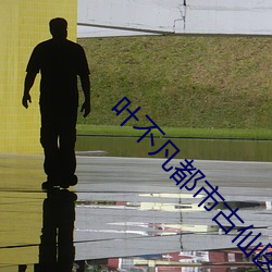 叶不凡都市古仙医 （无踪无影）