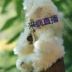 來瘋直播
