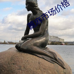 蓖麻市場價格