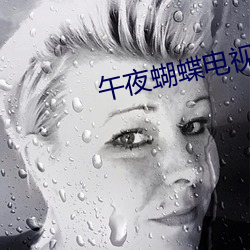午夜蝴蝶电视剧全集免费观看