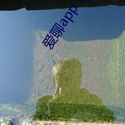 爱聊app下载