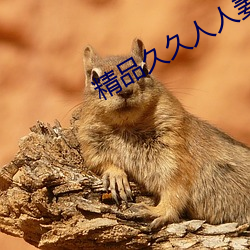精品久久人人妻人人做精品
