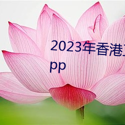 2023年香港正版资料大(大)全经典(典)版app