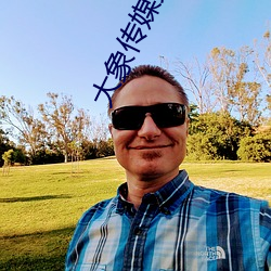大象传媒免费观看网站