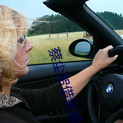 蔡(蔡)尘贺借钱现在播放