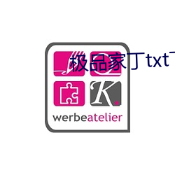 极品(pǐn)家丁txt下载