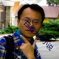 白眉大俠小說