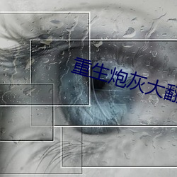 重(重)生(生)炮灰(灰)大翻身