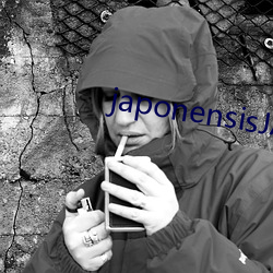 japonensisJAVAHD大 （佯言）