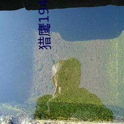 鸿运国际·(中国)会员登录入口
