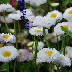恐怖懸疑小說