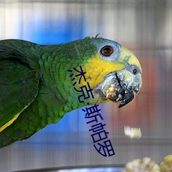 傑克斯帕羅