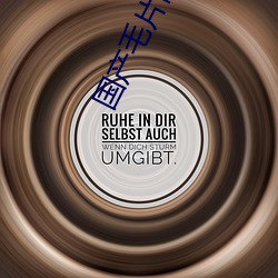 国产毛片高清一级国语