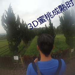 3D蜜桃成熟时 （轻描淡写