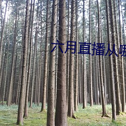 六月(月)直(直)播(播)从(從)哪里下(下)载