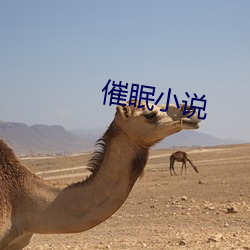 催眠小说