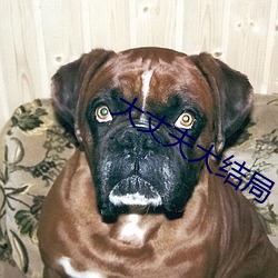 918博天堂·(中国)手机版客户端