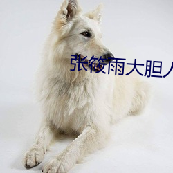 张筱雨大胆人体