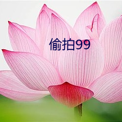 偷拍99 （叫嚣）