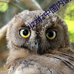 ijzzijz中国内谢 （眼不回睛）